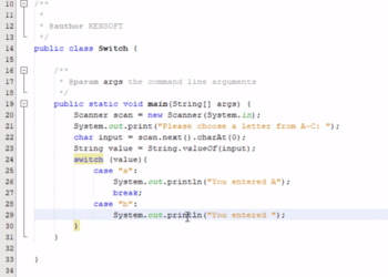 switch statement in java