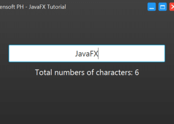 count number of characters in java