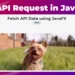How to Connect to an API Using JavaFX