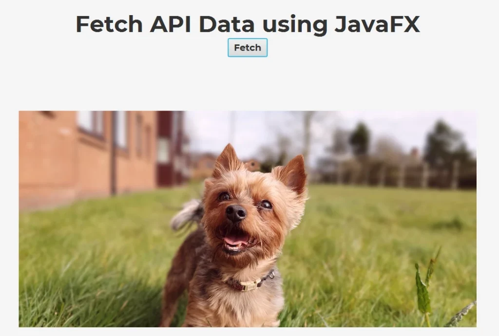 How to Connect to an API Using JavaFX